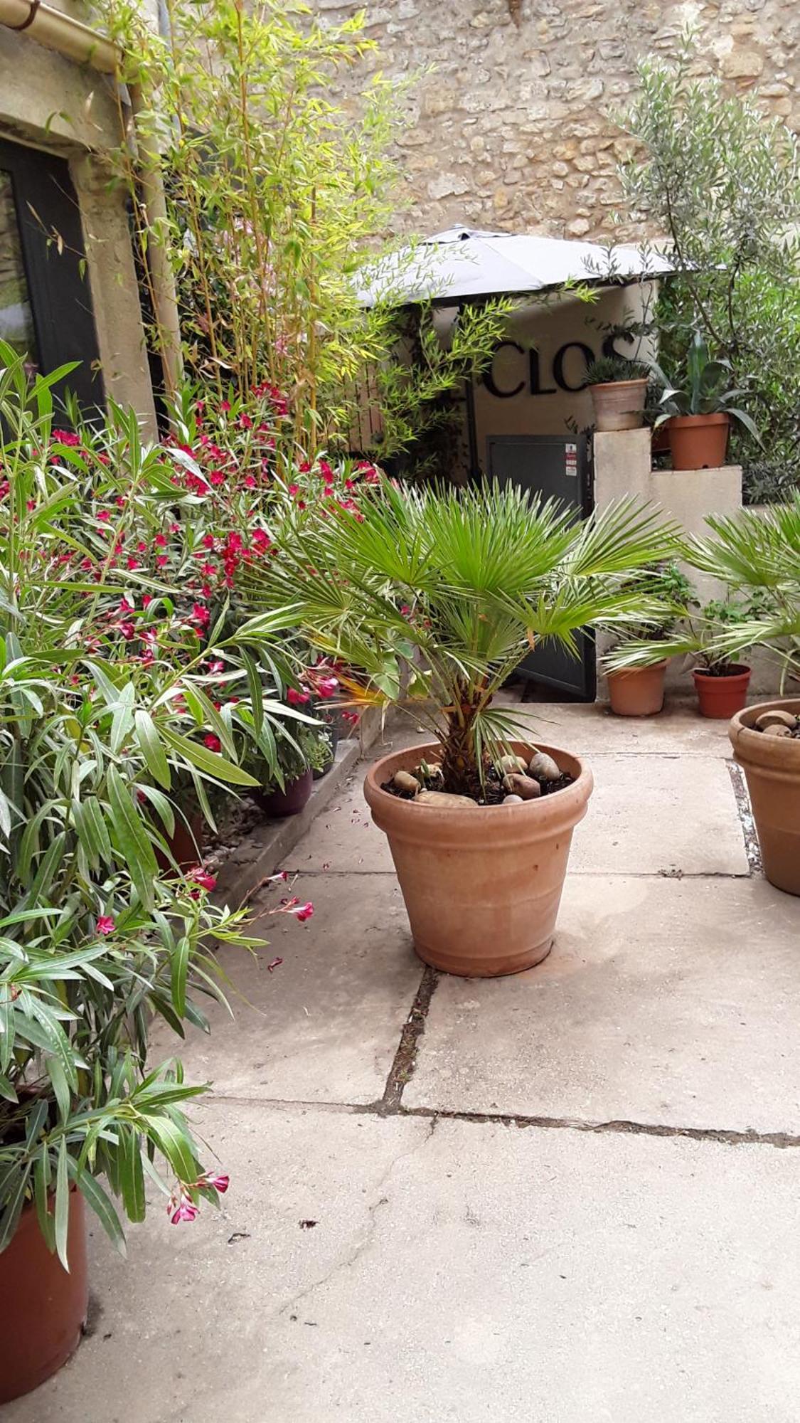 Le Clos Du Rouet Tarascon Exterior foto