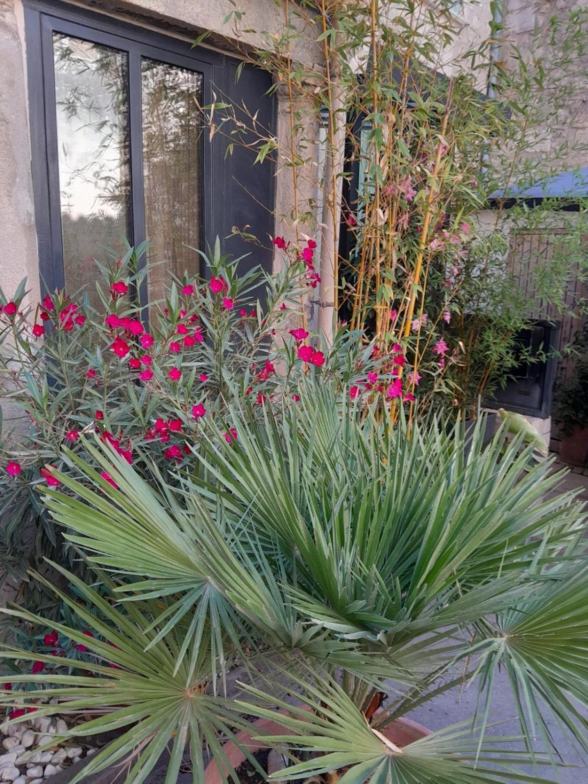 Le Clos Du Rouet Tarascon Exterior foto